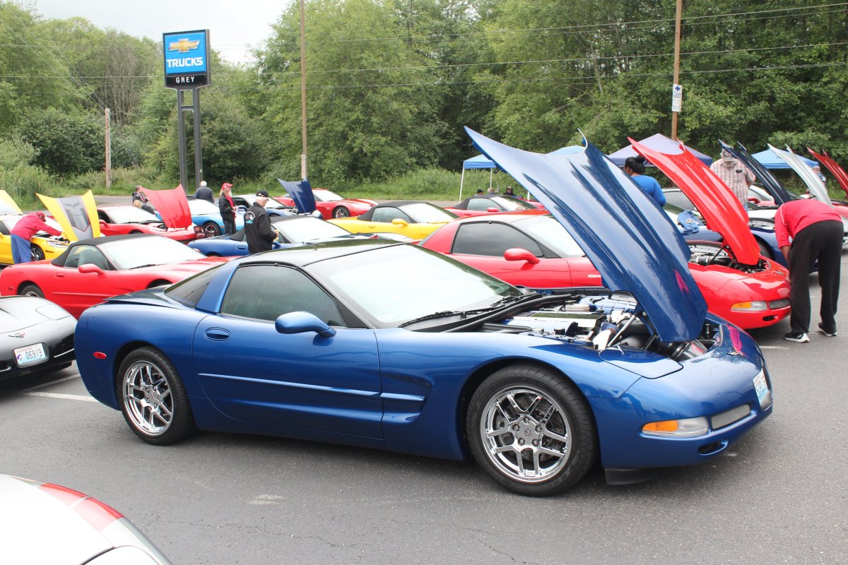 Corvette Generations/C5/C52003 Blue Anniv Edn B84.JPG
